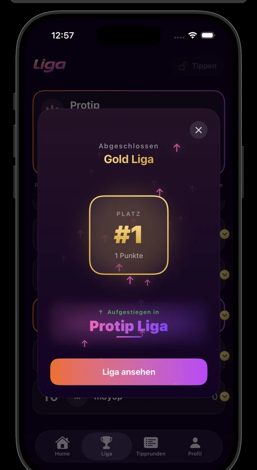 Protip Liga Übersicht